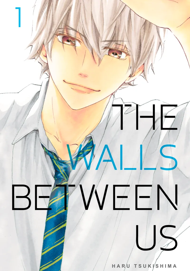 Cover of The Walls Between Us